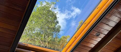 A skylight with a view of trees and a clear blue sky.