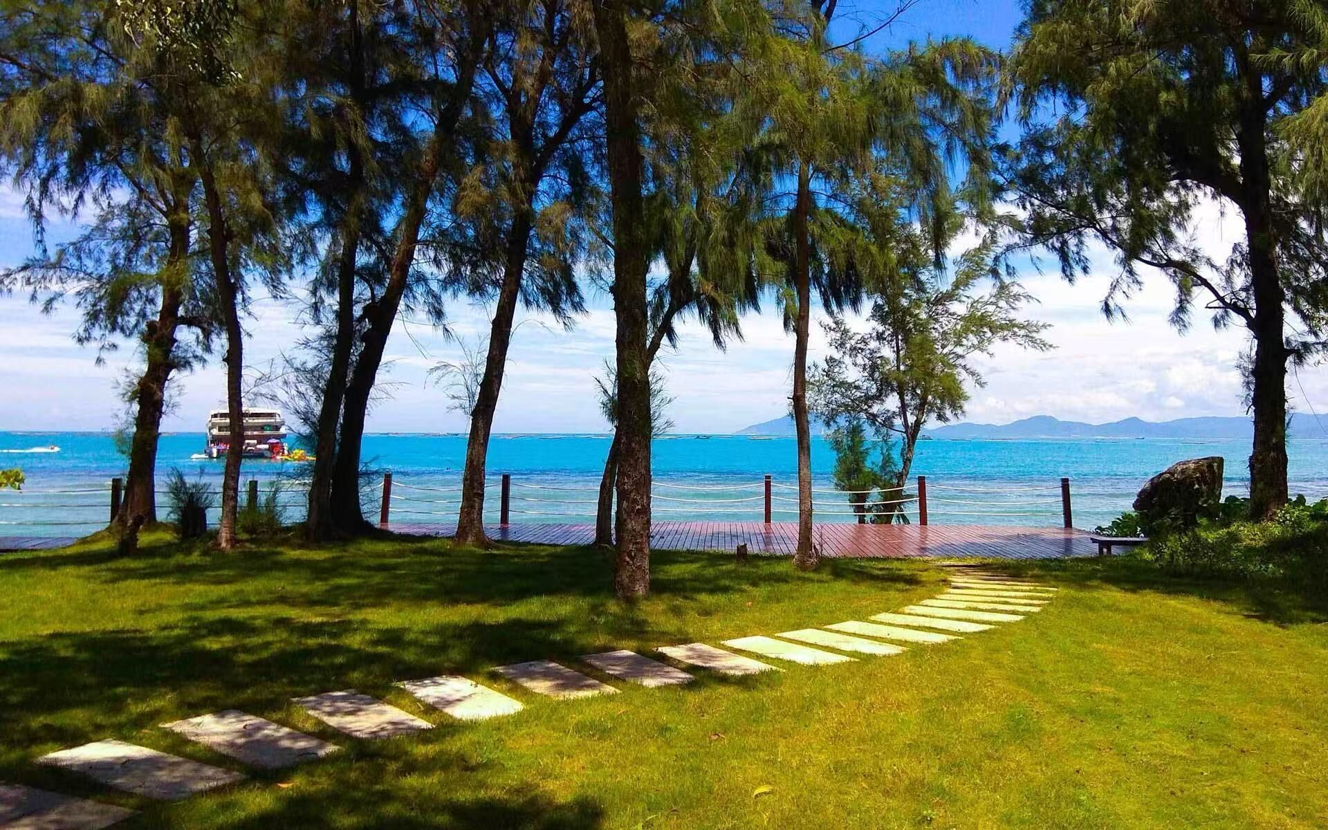 Un sendero que lleva a una playa con árboles y vistas al mar.