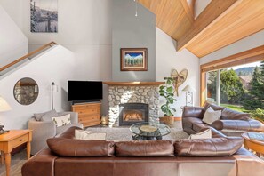 Télévision, cheminée, espaces bureaux