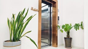 An elevator with a metallic finish, a potted plant with long, variegated leaves, and another potted plant with broad leaves. - Xiang Zhu Zi Yuan (Guilin)