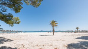 Una playa con una palmera, sombrillas y un cielo azul despejado.
