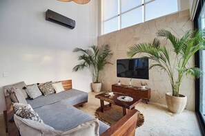 TV