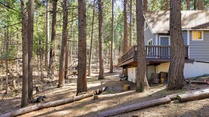 A cabin surrounded by tall trees in a forested area. - Hike, Ski & Sip: Arnold Cabin 4 Mi to State Park! (Arnold)