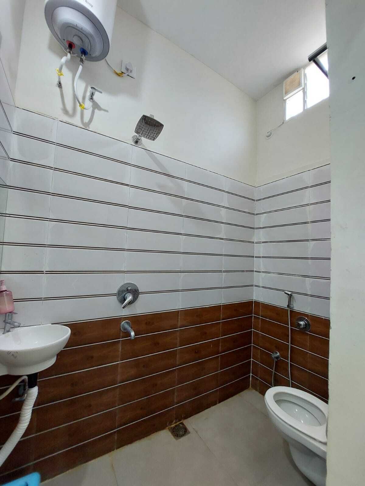 Shower, towels, shampoo, toilet paper