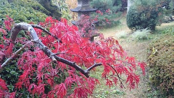 Japanese garden