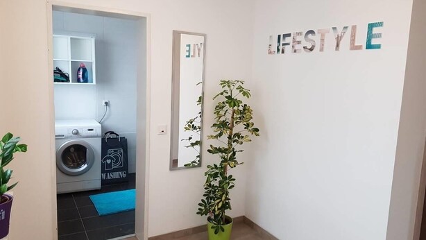 Un pasillo con lavadora, espejo y planta en maceta.