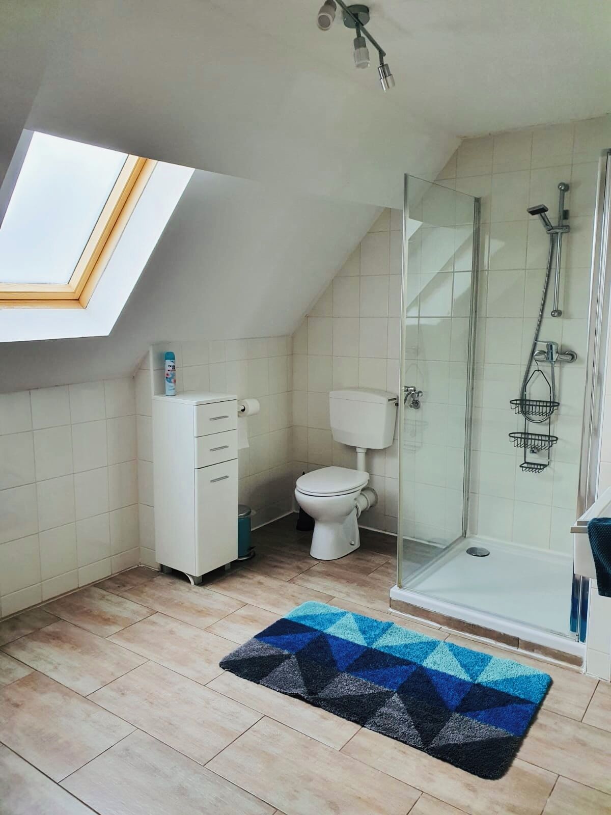 Une salle de bain avec un puits de lumière, une douche, des toilettes et un lavabo.