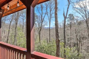 Property grounds - Foxbear Cabin | Cherry Log, Ga (Blue Ridge)