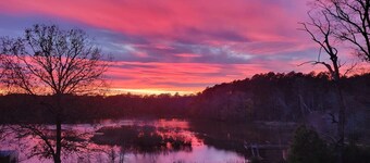 Wild and Free: Lakefront Oasis on Great Creek!