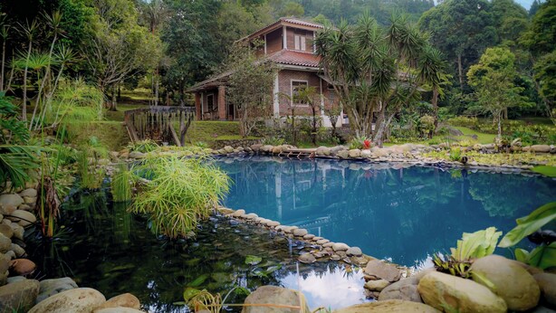 A house surrounded by lush greenery and a pond. - Lingga Garden House (Cisarua)