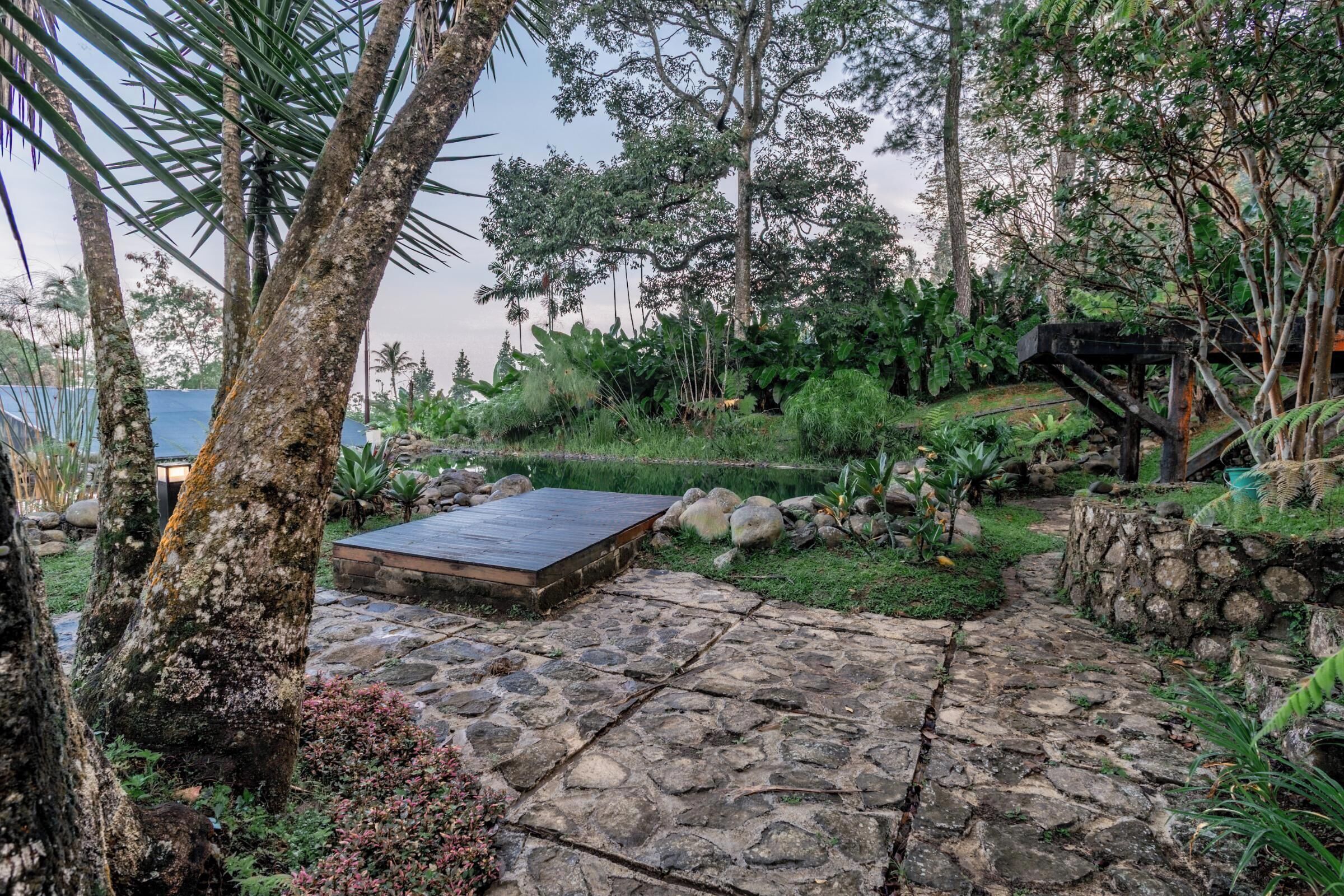 A stone pathway leading to a wooden deck surrounded by tropical vegetation and a stone wall.