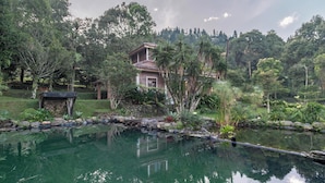 A house with a swimming pool surrounded by lush greenery. - Lingga Garden House (Cisarua)