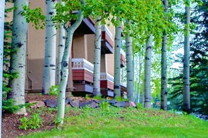 A building with a balcony, surrounded by birch trees.