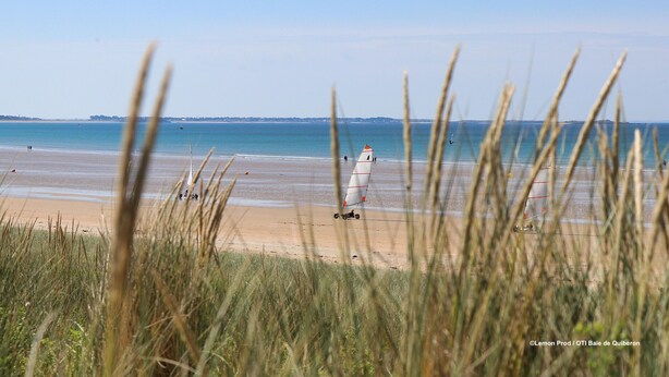 A beach with a lighthouse in the distance, surrounded by tall grass. - Ty Kerihuel - Luxury flat on the port in Etel (Etel)