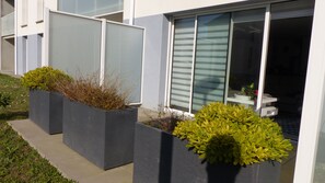 Detalle del exterior