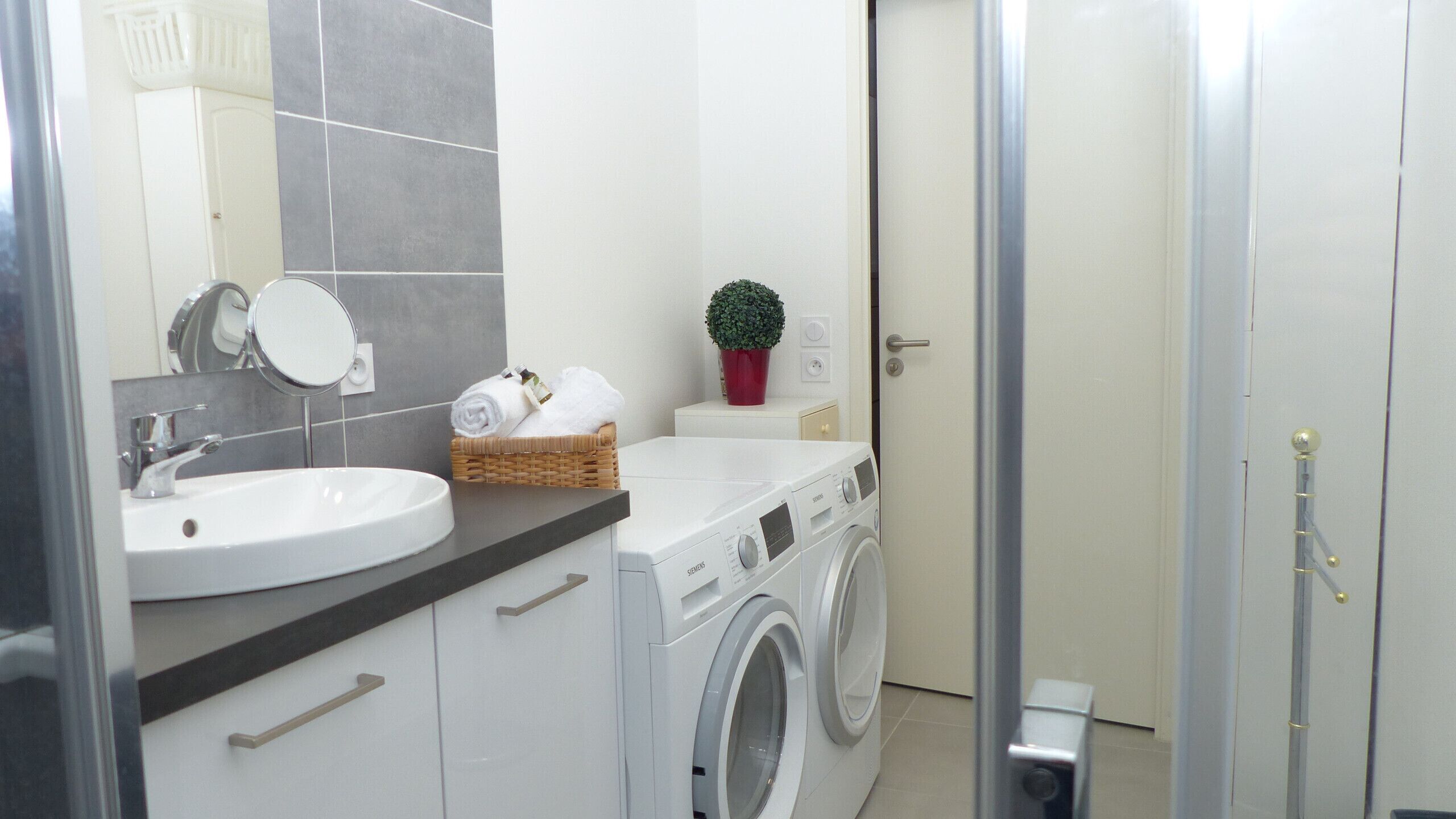 A modern bathroom with a white sink, a mirror, a washing machine, and a small potted plant.