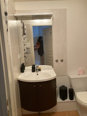 Douche, sèche-cheveux, serviettes fournies, papier toilette