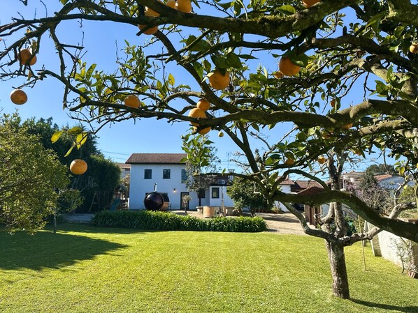 Property grounds - Sauna|Jacuzzi|Firepit|Playground|OPorto&Beach 15min (Aveiro)