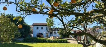 Sauna|Jacuzzi|Firepit|Playground|OPorto&Beach 15min