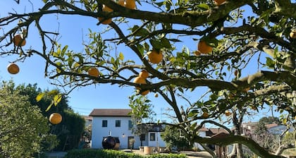 Sauna|Jacuzzi|Firepit|Playground|OPorto&Beach 15min