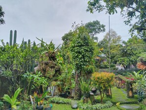 Un jardin luxuriant, avec une variété de plantes, une formation rocheuse et un sentier.