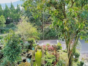 Un exuberante jardín con diversas plantas y un pequeño estanque.