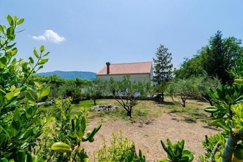 Holiday Home Field of Olives - Two Bedroom Holiday Home with Terrace