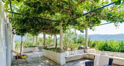 Holiday Home Field of Olives - Two Bedroom Holiday Home with Terrace