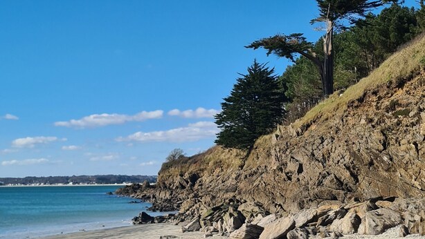 A beach with a rocky cliff and trees.
