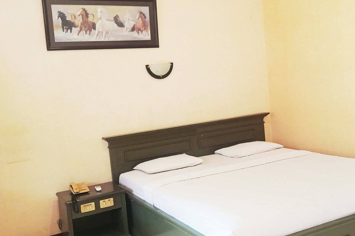 A single bed with white linens, a dark wooden headboard, a small bedside table with a telephone and a power outlet, and a framed picture of horses on the wall.