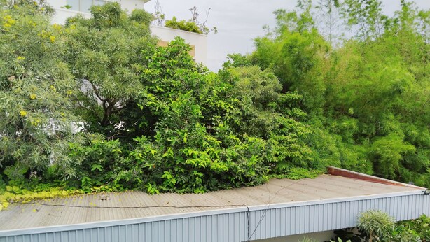 Un bâtiment doté d’un toit plat, entouré de divers arbres et arbustes.