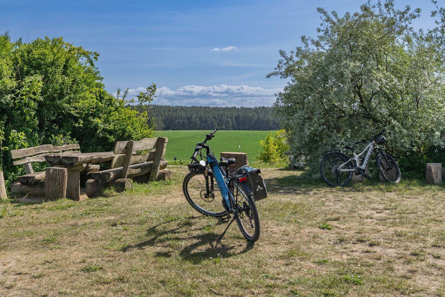 Un vélo est garé près d’un banc en bois, dans un champ verdoyant parsemé d’arbres, sous un ciel dégagé.