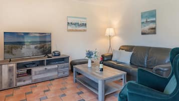 Fernseher, DVD-Player