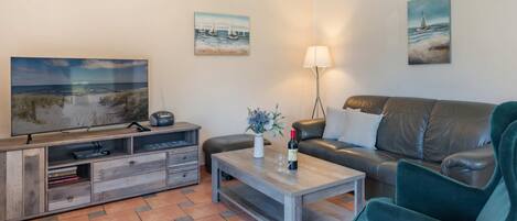 電視、DVD 播放機