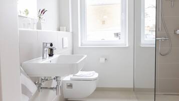 Shower, hair dryer, towels