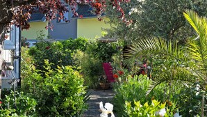 A garden pathway with a red chair and a white chair, surrounded by lush greenery and flowering plants.