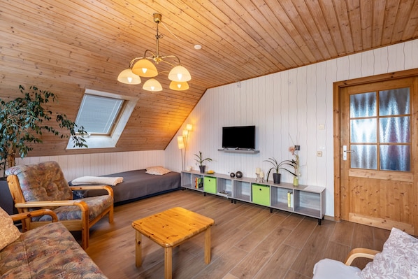 A cozy room with a wooden ceiling, a sofa, a chair, a small table, a TV, and a door with frosted glass panels.