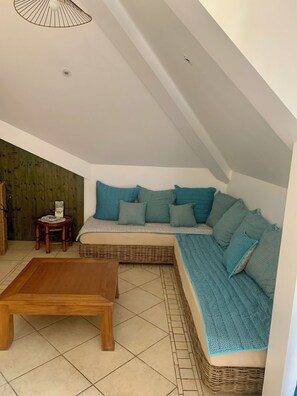 Télévision, lecteur de DVD, table de tennis de table, livres