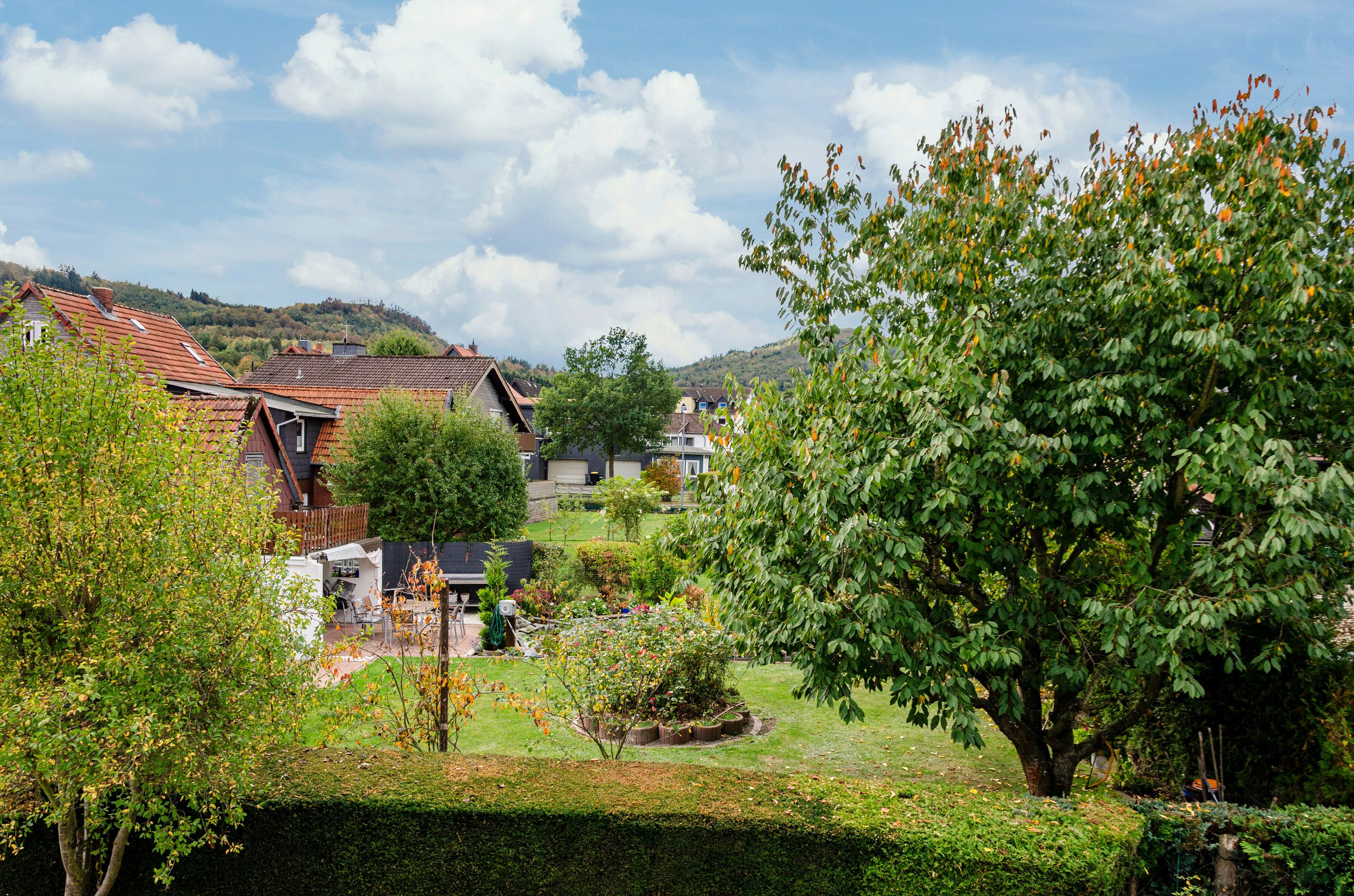 A residential area with houses, a tree, and a grassy yard.