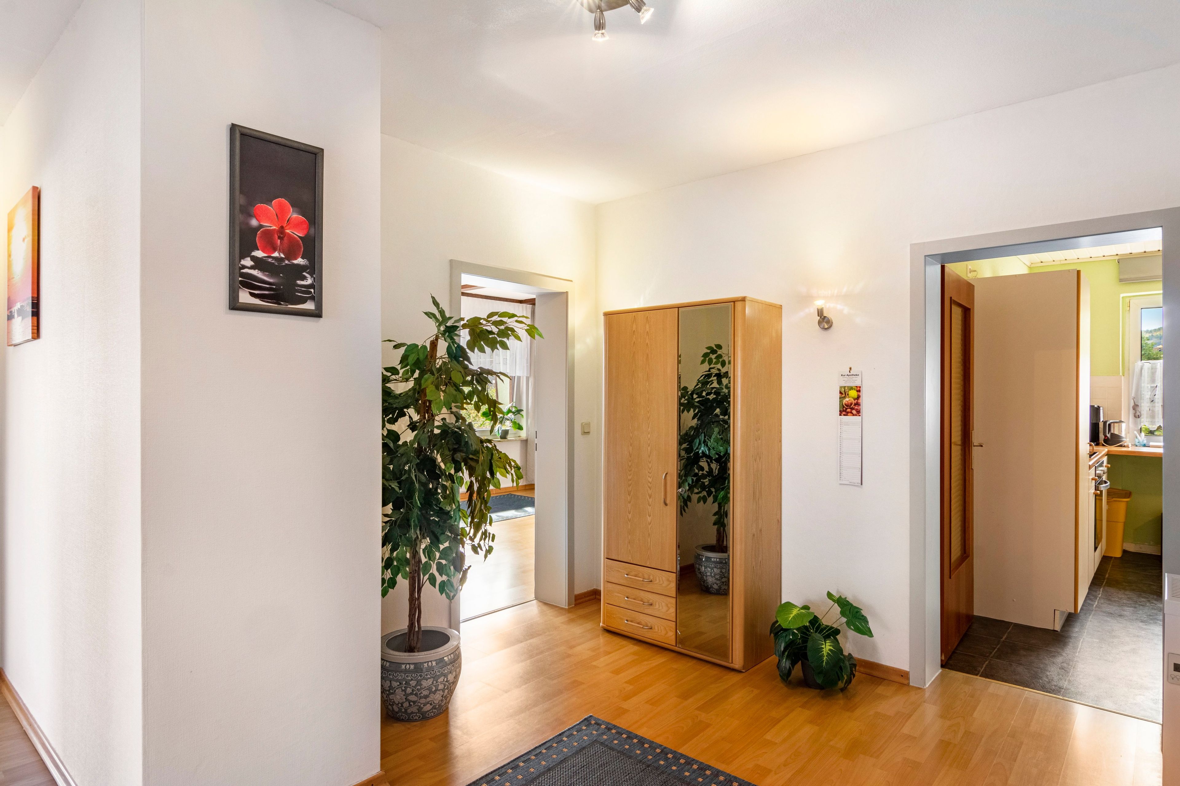A hallway with a wooden wardrobe, a potted plant, and a framed picture on the wall.