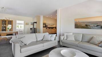 TV, fireplace, DVD player