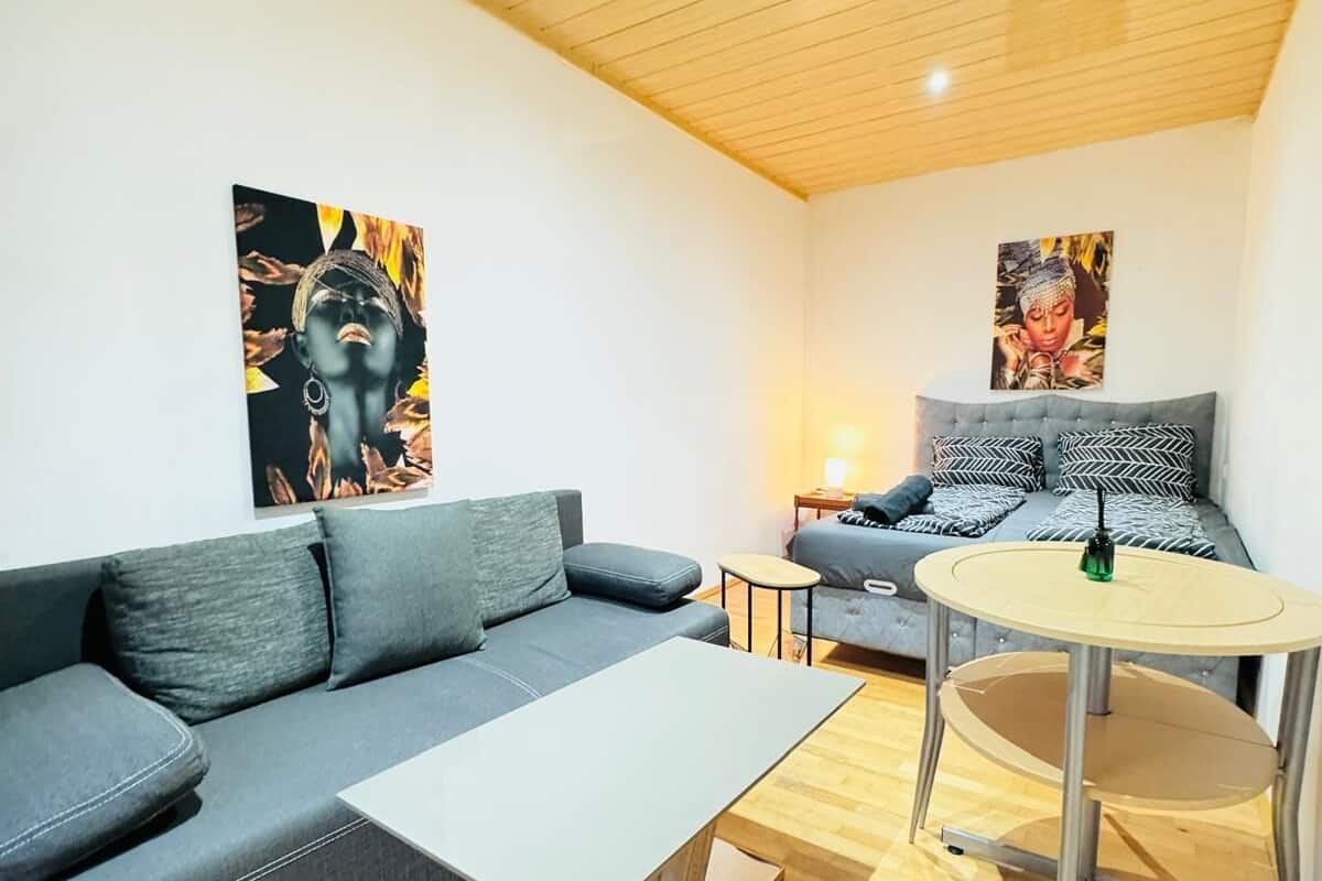 Basic Room | Iron/ironing board, free WiFi