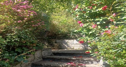 Villa in Ghiffa with Lake Maggiore Views