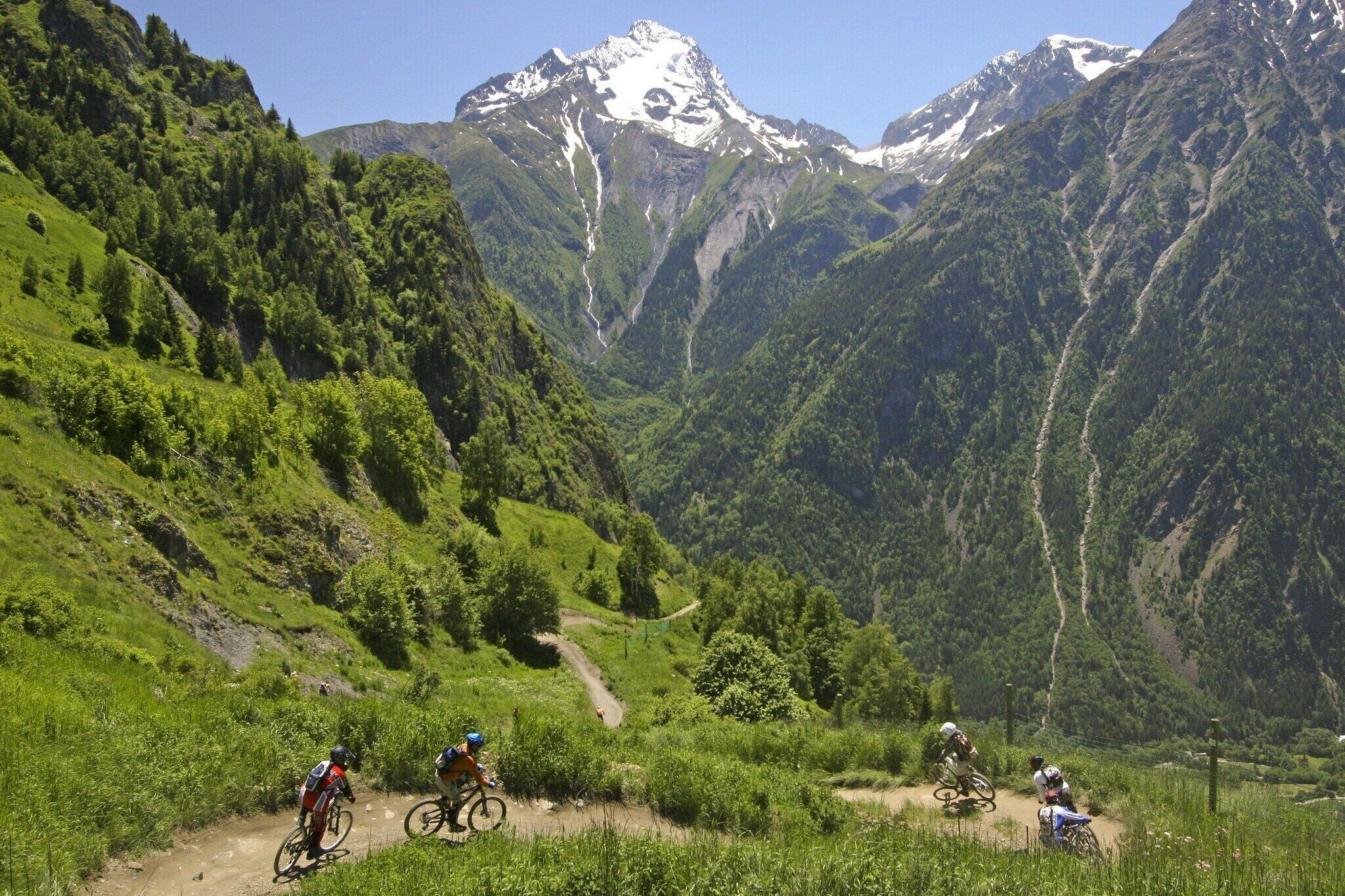 Sentiero per mountain bike con vegetazione lussureggiante e una vetta innevata sullo sfondo.