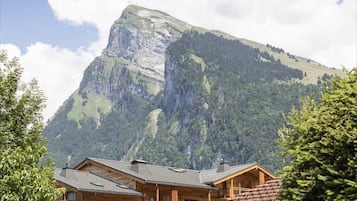 Eksteriør