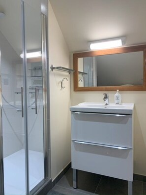 Regadera, secadora de cabello, toallas, jabón 