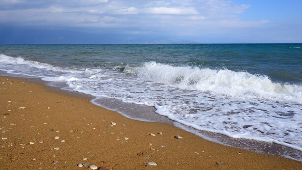 Une plage où les vagues viennent doucement lécher le rivage, un ciel dégagé et quelques coquillages éparpillés sur le sable.