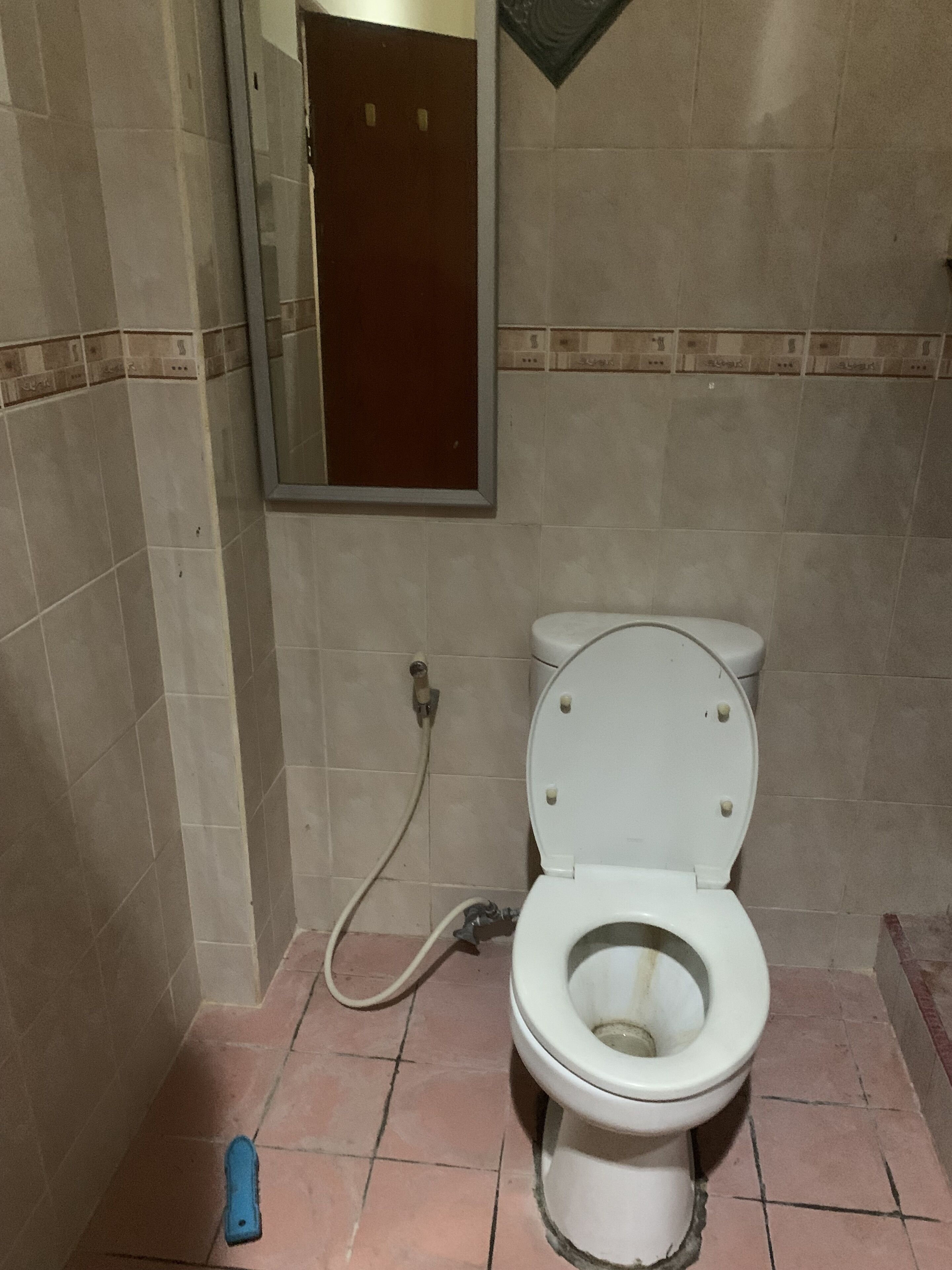 A bathroom with a toilet, a mirror, and tiled walls.