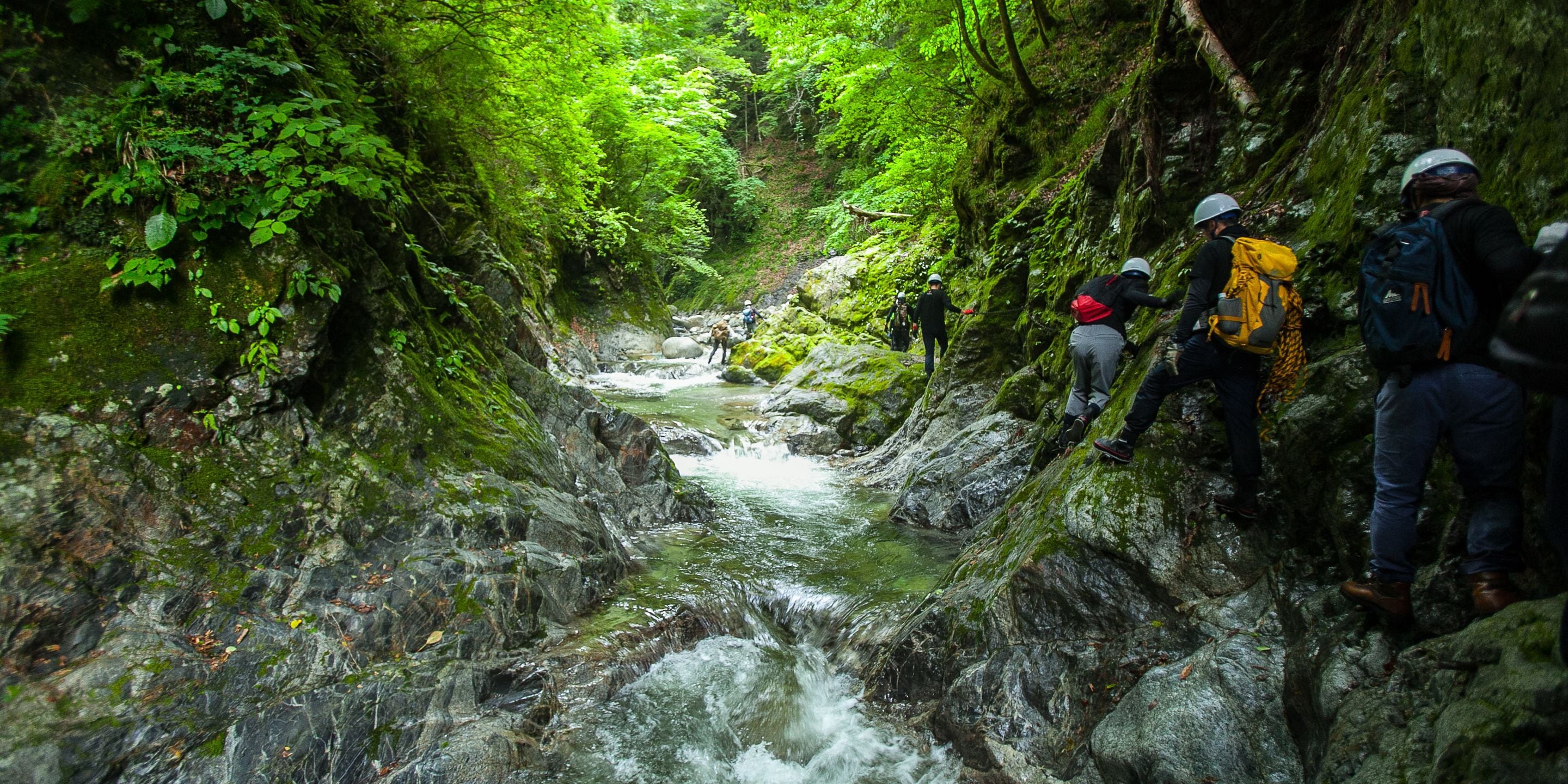 A narrow, rocky canyon with a flowing stream, surrounded by dense green foliage.