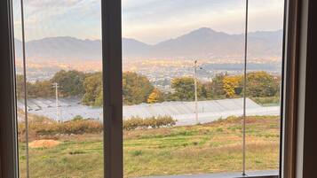 Down duvets, iron/ironing board, free WiFi, bed sheets